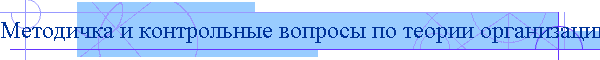 Методичка и контрольные вопросы по теории организации
