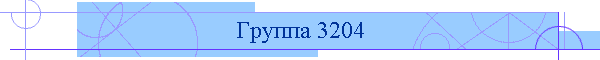 Группа 3204