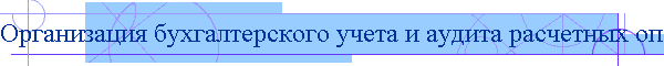 Организация бухгалтерского учета и аудита расчетных операций