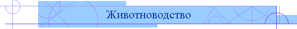 Животноводство
