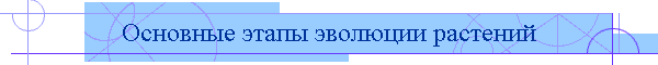 Основные этапы эволюции растений