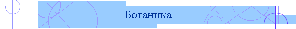 Ботаника
