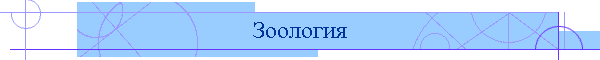 Зоология