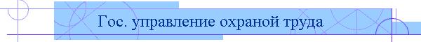 Гос. управление охраной труда