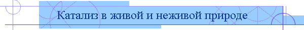 Катализ в живой и неживой природе