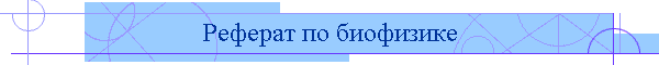 Реферат по биофизике