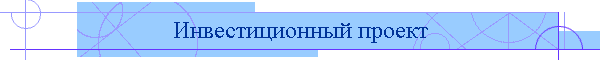 Инвестиционный проект