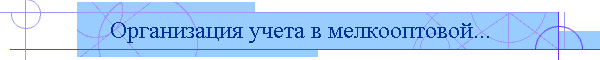 Организация учета в мелкооптовой...