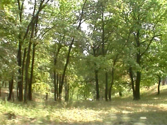 DVC00043.JPG (113826 bytes)
