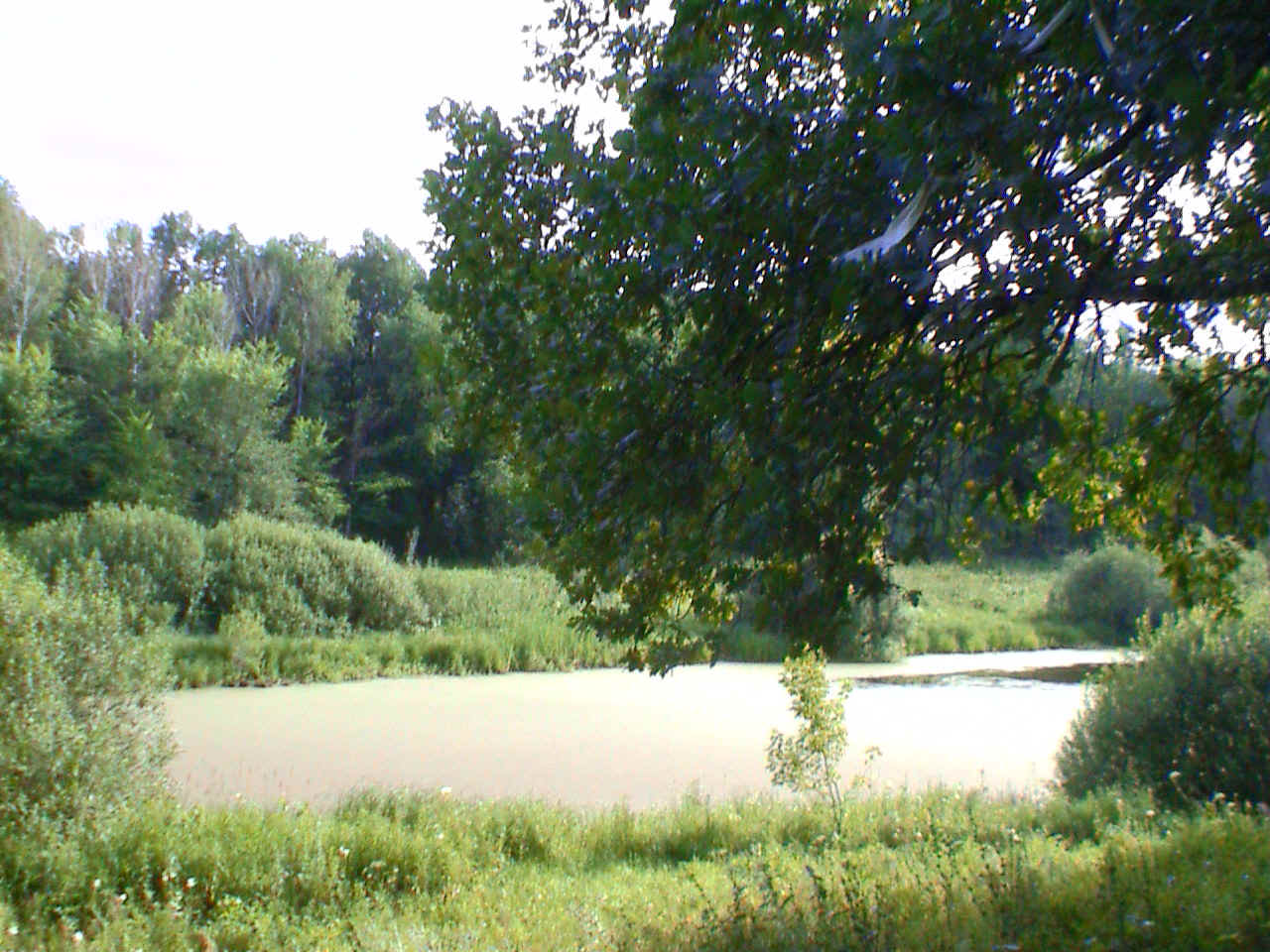 DVC00062.JPG (382998 bytes)