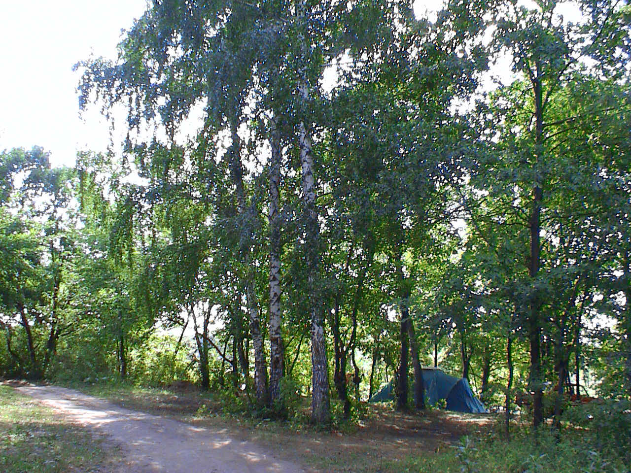 DVC00171.JPG (626298 bytes)